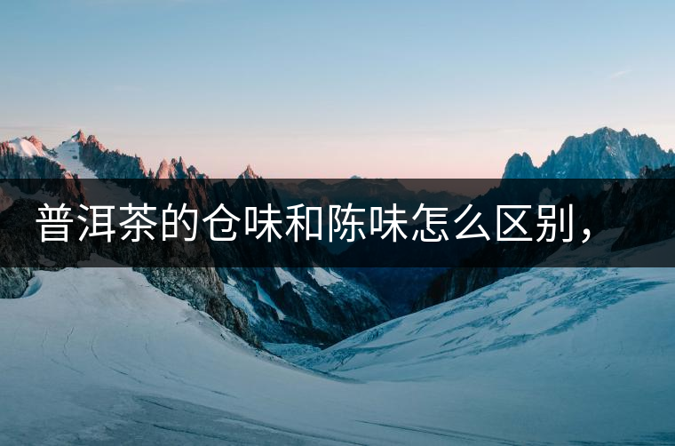 普洱茶的倉味和陳味怎么區(qū)別，如何避免？