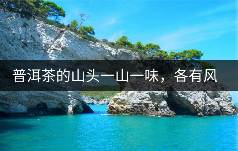 普洱茶的山頭一山一味，各有風格