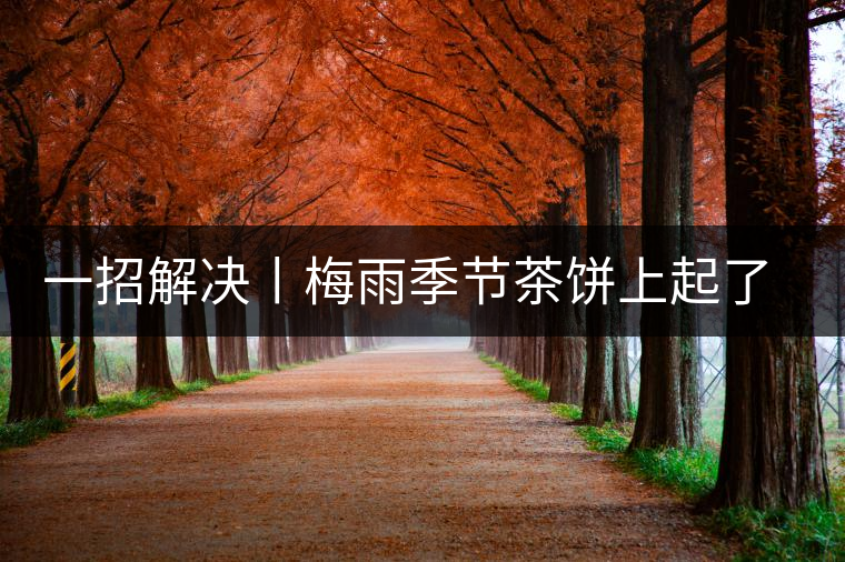 一招解決丨梅雨季節(jié)茶餅上起了白霜白點怎么辦？