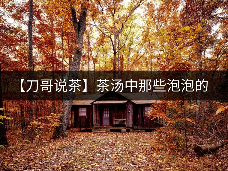 【刀哥說茶】茶湯中那些泡泡的始作俑者，茶皂素只是其中一個