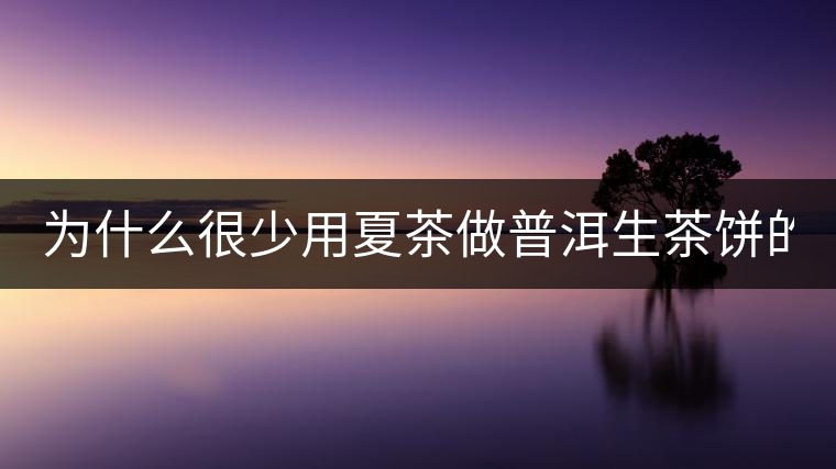 為什么很少用夏茶做普洱生茶餅的？