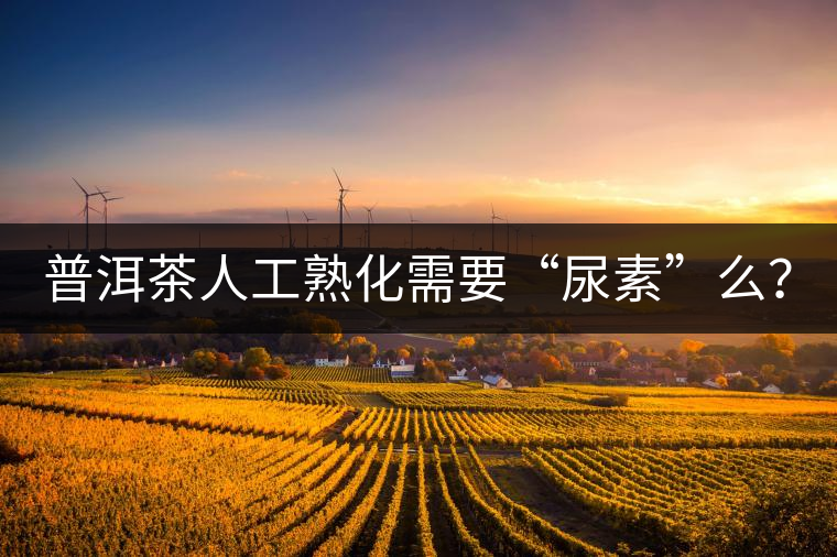 普洱茶人工熟化需要“尿素”么？