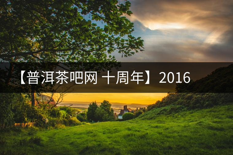 【普洱茶吧網(wǎng) 十周年】2016年布朗山帕點(diǎn)古樹春茶團(tuán)購預(yù)定