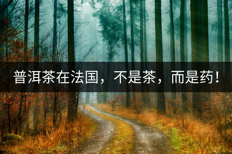 普洱茶在法國(guó)，不是茶，而是藥！