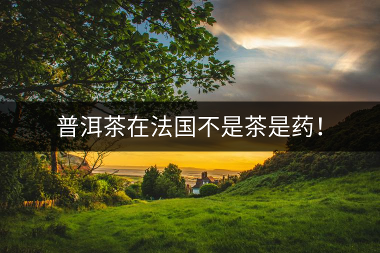 普洱茶在法國(guó)不是茶是藥！