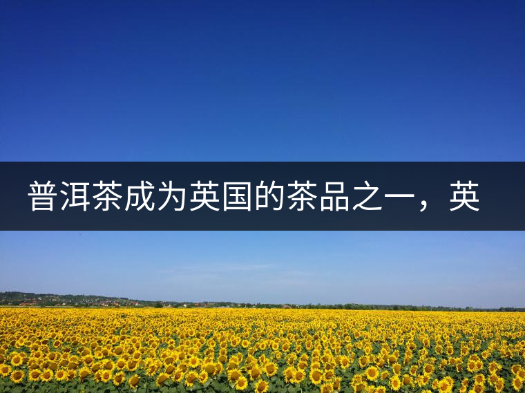 普洱茶成為英國的茶品之一，英國雜志給出7大理由