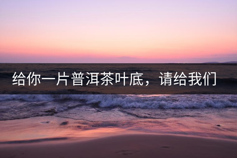 給你一片普洱茶葉底，請給我們聊聊它的生態(tài)和樹齡