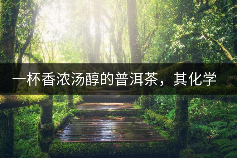 一杯香濃湯醇的普洱茶，其化學成分是怎樣的？