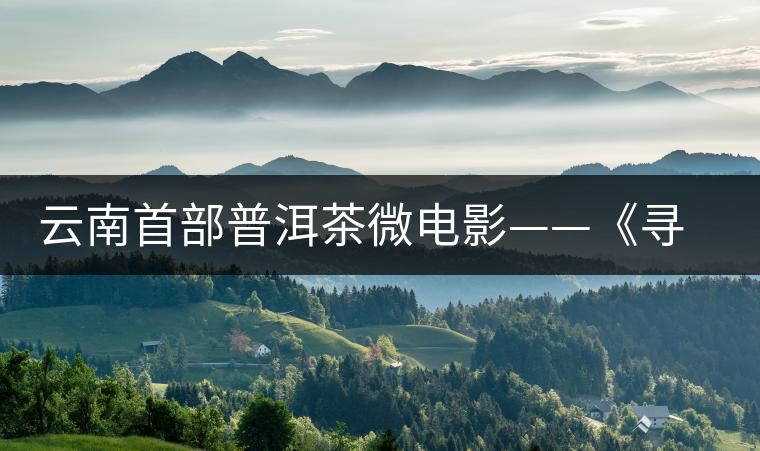 云南首部普洱茶微電影——《尋找石介》在昆明首映 云南首部普洱茶微電影——《尋找石介》在昆明首映