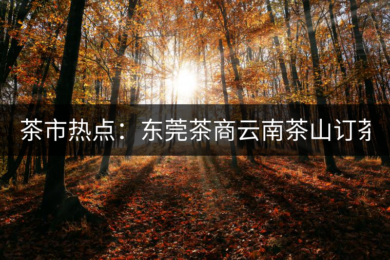 茶市熱點(diǎn):東莞茶商云南茶山訂茶 豪派300萬 茶市熱點(diǎn):東莞茶商云南茶山訂茶 豪派300萬