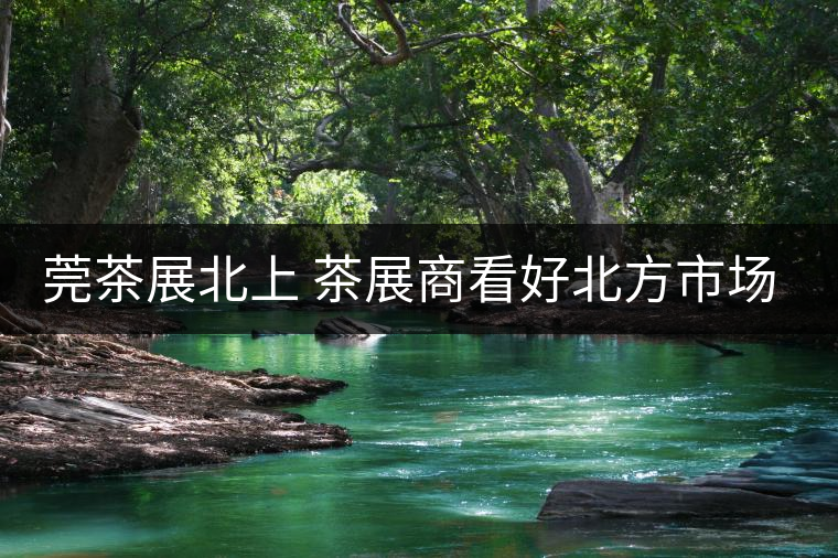莞茶展北上 茶展商看好北方市場(chǎng)！