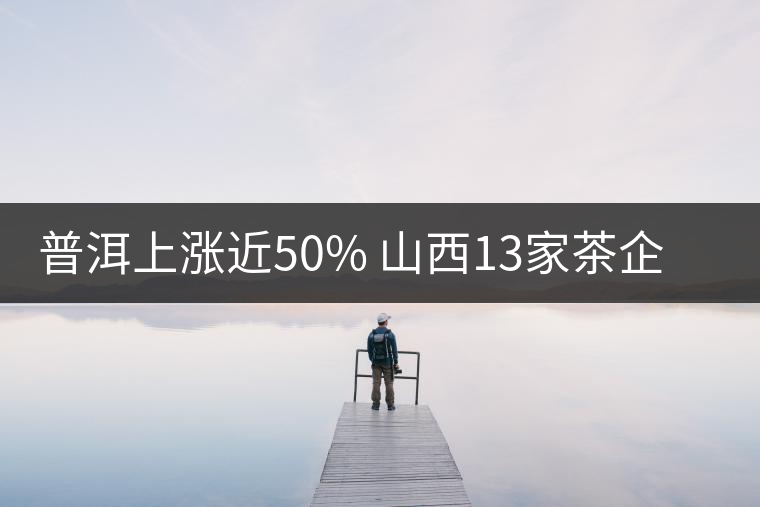 普洱上漲近50% 山西13家茶企集體赴滇買茶 普洱上漲近50% 山西13家茶企集體赴滇買茶