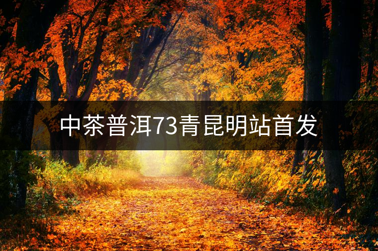 中茶普洱73青昆明站首發(fā) 中茶普洱73青昆明站首發(fā)