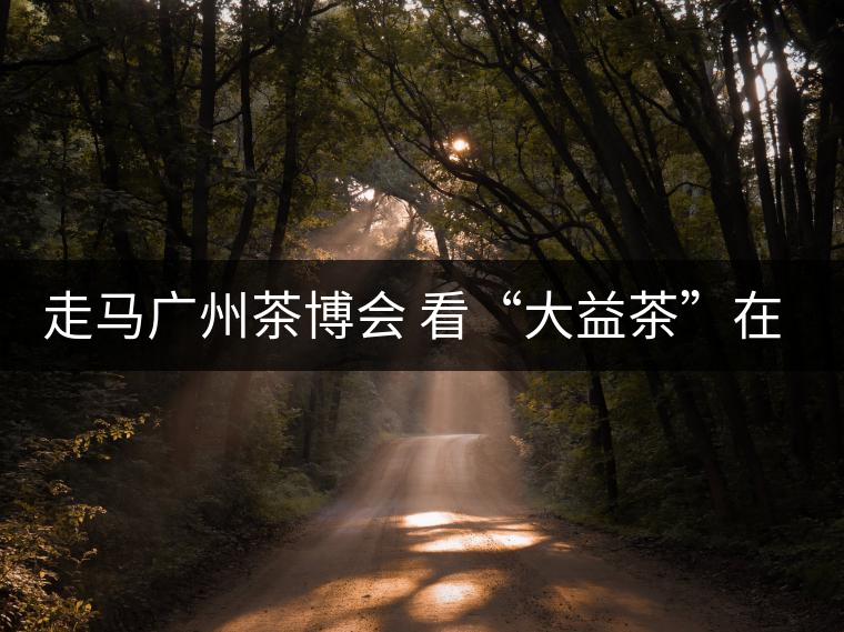 走馬廣州茶博會 看“大益茶”在傳承與創(chuàng)新中發(fā)展