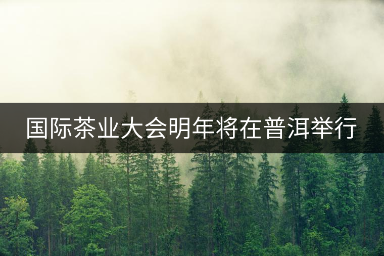 國(guó)際茶業(yè)大會(huì)明年將在普洱舉行