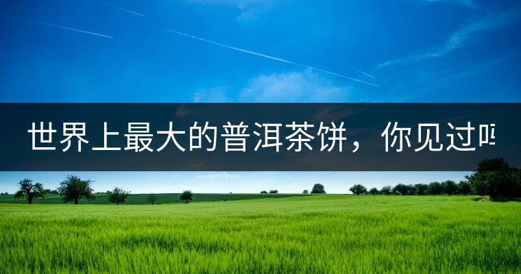 世界上最大的普洱茶餅，你見過嗎？