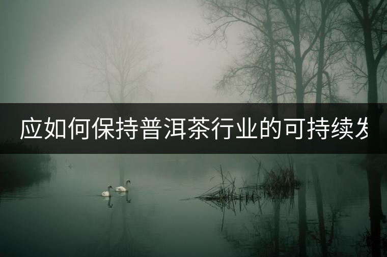 應(yīng)如何保持普洱茶行業(yè)的可持續(xù)發(fā)展？