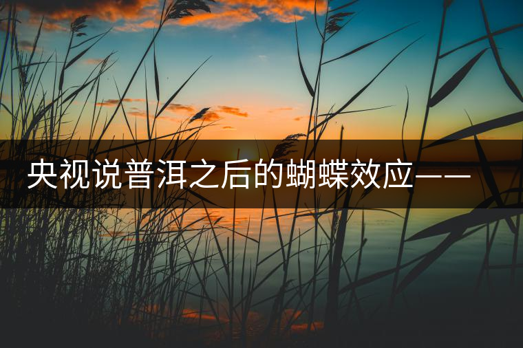 央視說普洱之后的蝴蝶效應(yīng)——過度開采會(huì)出現(xiàn)“死循環(huán)”？