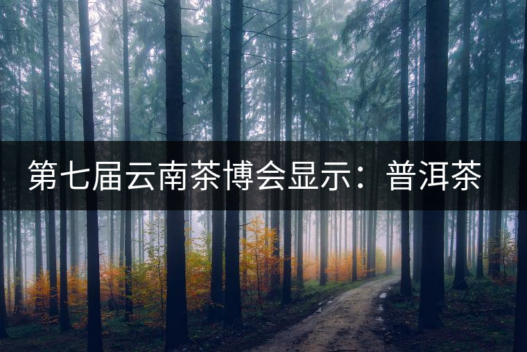 第七屆云南茶博會(huì)顯示:普洱茶開(kāi)始回歸理性 第七屆云南茶博會(huì)顯示:普洱茶開(kāi)始回歸理性