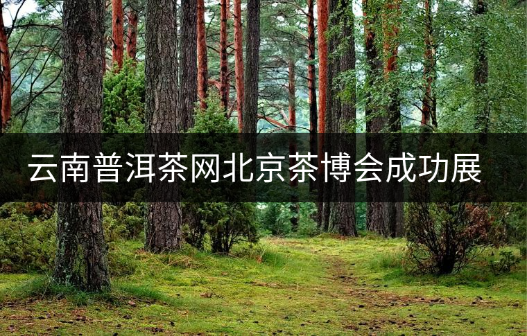 云南普洱茶網(wǎng)北京茶博會成功展示古法石磨制茶