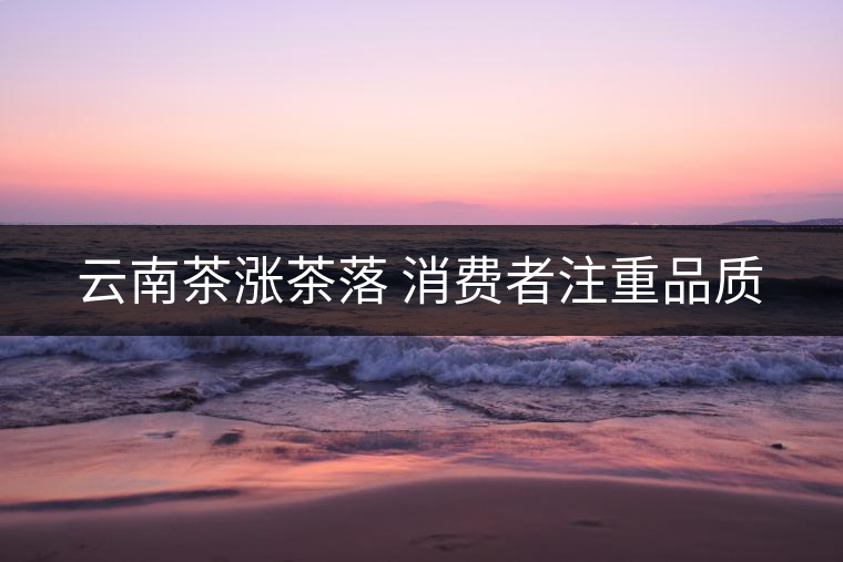 云南茶漲茶落 消費(fèi)者注重品質(zhì) 云南茶漲茶落 消費(fèi)者注重品質(zhì)