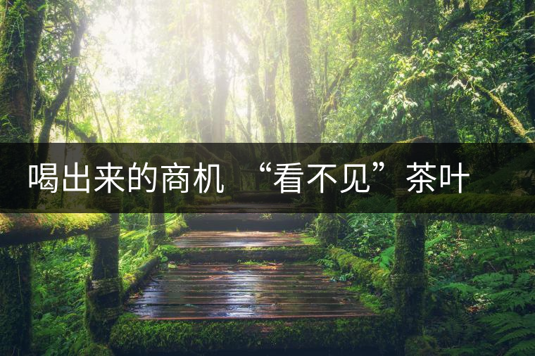 喝出來的商機  “看不見”茶葉的普洱茶