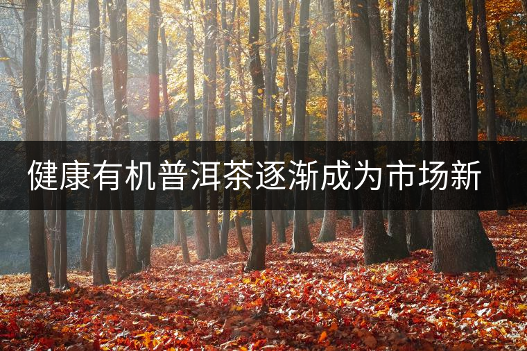 健康有機普洱茶逐漸成為市場新寵