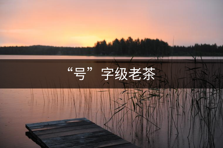 “號(hào)”字級(jí)老茶