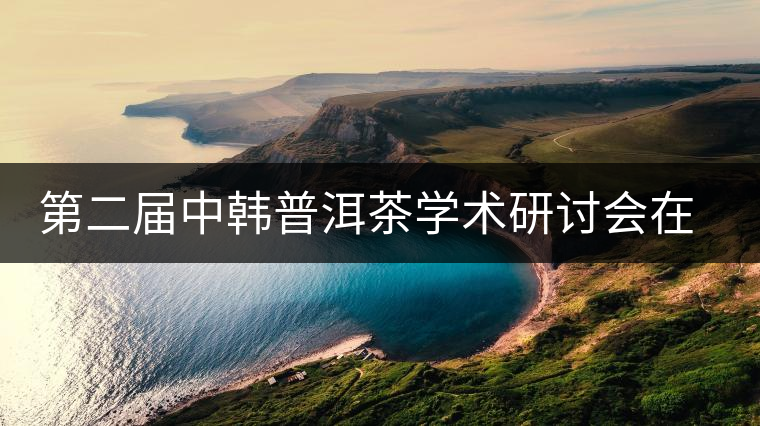 第二屆中韓普洱茶學(xué)術(shù)研討會(huì)在首爾舉行 第二屆中韓普洱茶學(xué)術(shù)研討會(huì)在首爾舉行