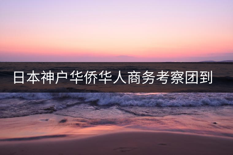 日本神戶華僑華人商務(wù)考察團(tuán)到普洱市考察