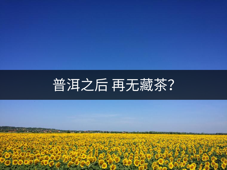 普洱之后 再無(wú)藏茶？