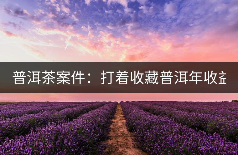 普洱茶案件：打著收藏普洱年收益不低于16%，非法吸收公眾存款