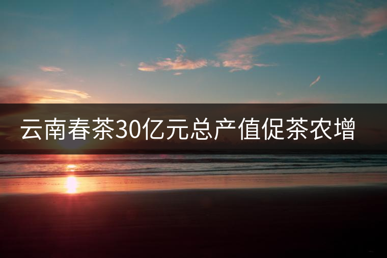 云南春茶30億元總產(chǎn)值促茶農(nóng)增收 云南春茶30億元總產(chǎn)值促茶農(nóng)增收