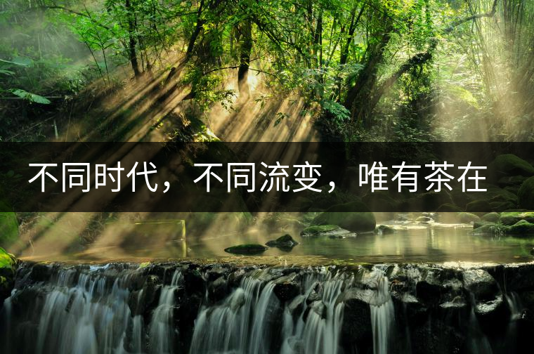 不同時代，不同流變，唯有茶在傳承