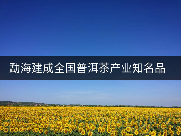 勐海建成全國(guó)普洱茶產(chǎn)業(yè)知名品牌創(chuàng)建示范區(qū) 勐海建成全國(guó)普洱茶產(chǎn)業(yè)知名品牌創(chuàng)建示范區(qū)