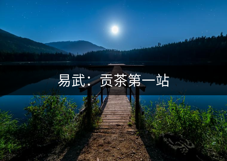 易武：貢茶第一站