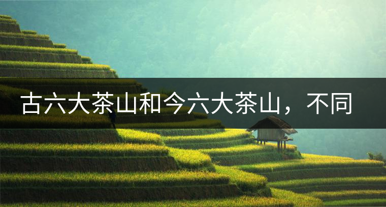 古六大茶山和今六大茶山，不同普洱茶品質