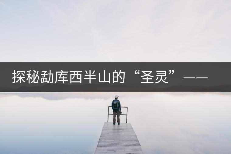 探秘勐庫(kù)西半山的“圣靈”——小戶(hù)賽
