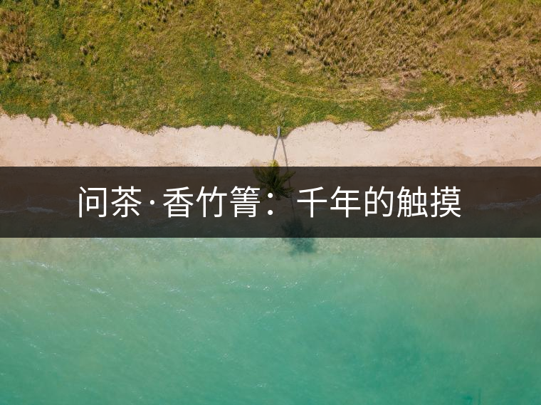 問茶·香竹箐：千年的觸摸
