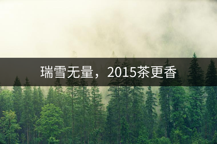 瑞雪無(wú)量，2015茶更香