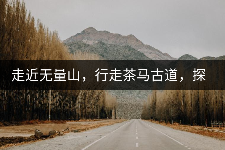 走近無量山，行走茶馬古道，探訪云南千年茶山