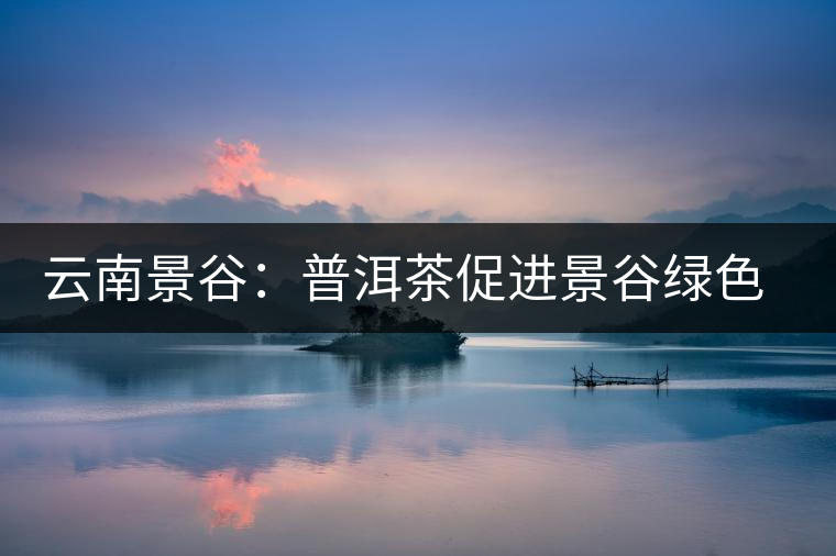 云南景谷:普洱茶促進(jìn)景谷綠色生態(tài)產(chǎn)業(yè)的發(fā)展 云南景谷:普洱茶促進(jìn)景谷綠色生態(tài)產(chǎn)業(yè)的發(fā)展