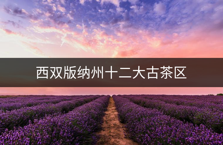 西雙版納州十二大古茶區(qū)