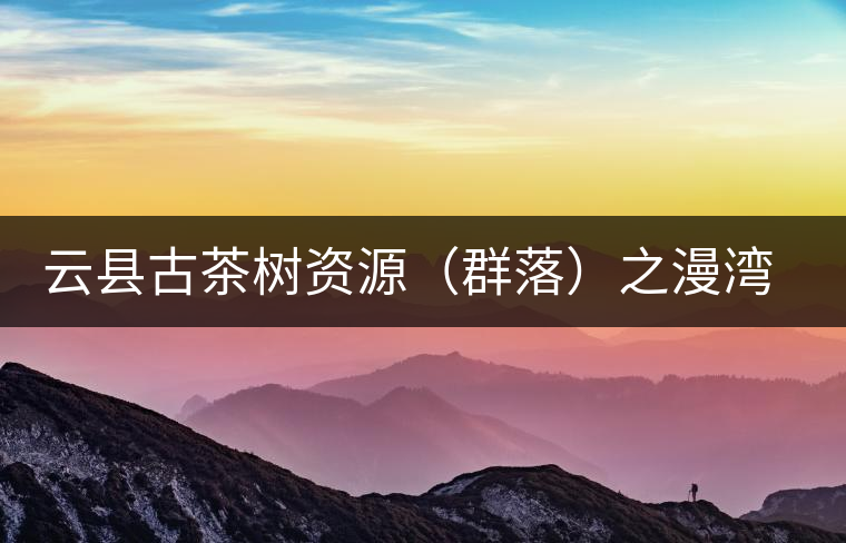 云縣古茶樹資源（群落）之漫灣鎮(zhèn)、茂蘭鎮(zhèn)大丙山