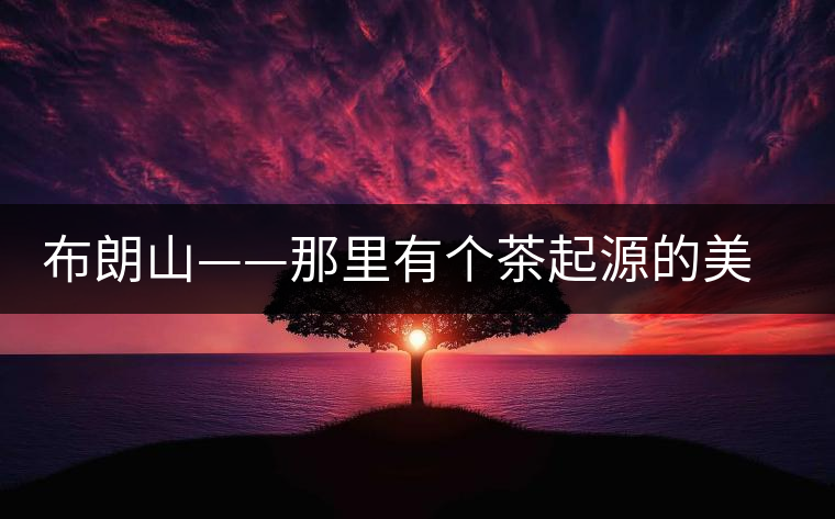 布朗山——那里有個(gè)茶起源的美麗傳說 布朗山——那里有個(gè)茶起源的美麗傳說