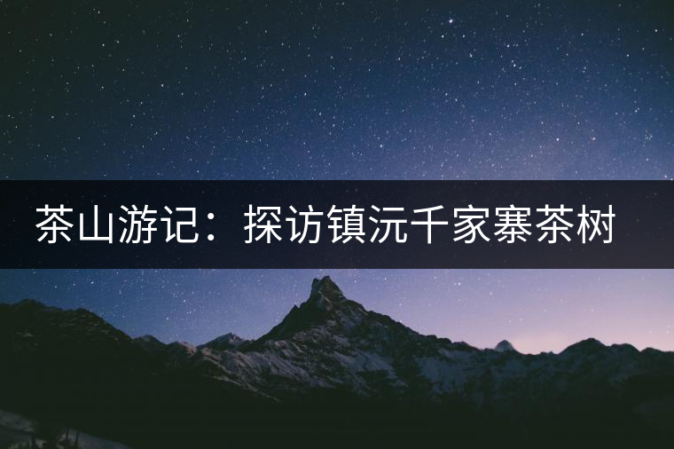 茶山游記:探訪鎮(zhèn)沅千家寨茶樹王 茶山游記:探訪鎮(zhèn)沅千家寨茶樹王
