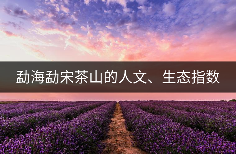 勐海勐宋茶山的人文、生態(tài)指數(shù)