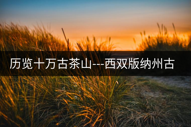 歷覽十萬古茶山---西雙版納州古茶樹古茶園(下) 歷覽十萬古茶山---西雙版納州古茶樹古茶園(下)