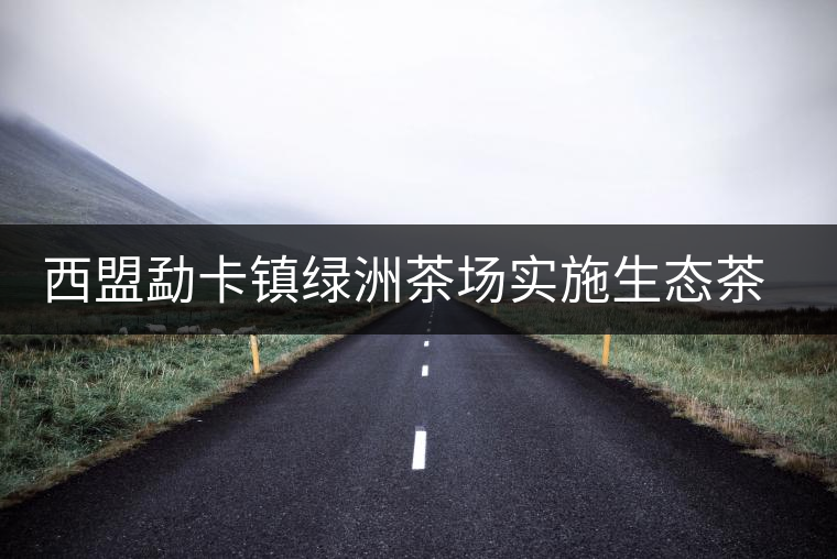 西盟勐卡鎮(zhèn)綠洲茶場實(shí)施生態(tài)茶園改造見效益 西盟勐卡鎮(zhèn)綠洲茶場實(shí)施生態(tài)茶園改造見效益