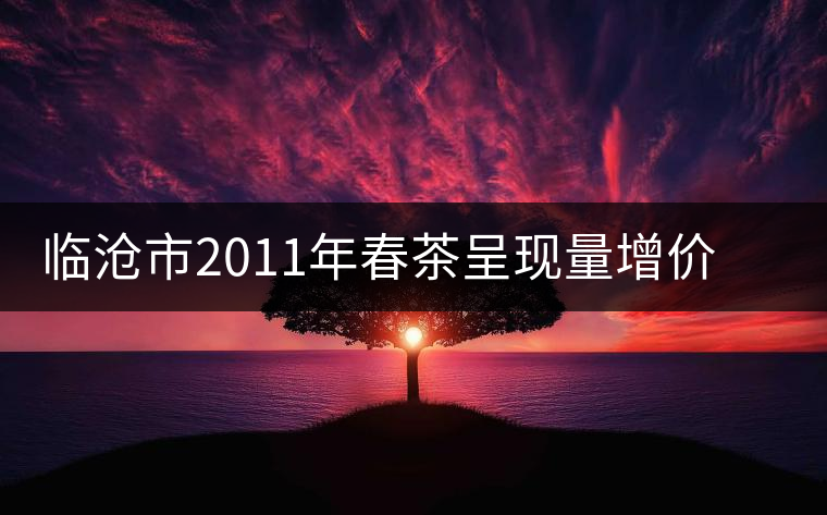臨滄市2011年春茶呈現(xiàn)量增價漲良好局面